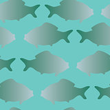 vector illustration of the goldfish