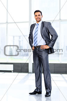 Portrait of a handsome business man