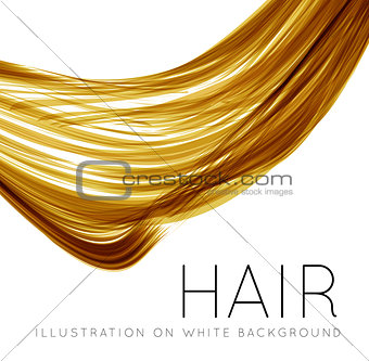 Closeup of long human hair
