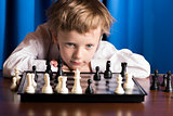 the boy chess player