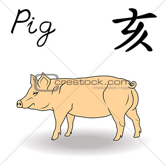 Eastern Zodiac Sign Pig