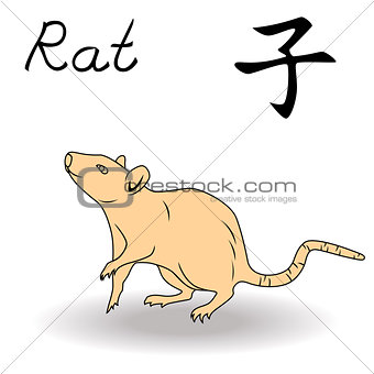 Eastern Zodiac Sign Rat