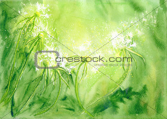 Watercolor background with dandelions