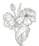 hand drawn decorative tulips for your design