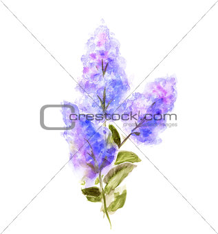 Hand Painted Watercolor Flower Lilac