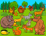 forest animals cartoon illustration
