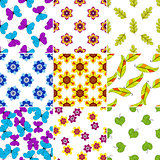 Set colorful floral patterns
