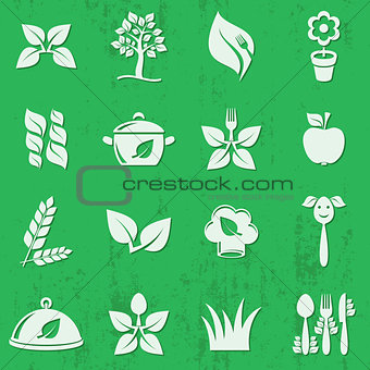 Vector vegetarian organic food icons
