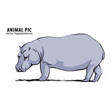 Illustration of hippo