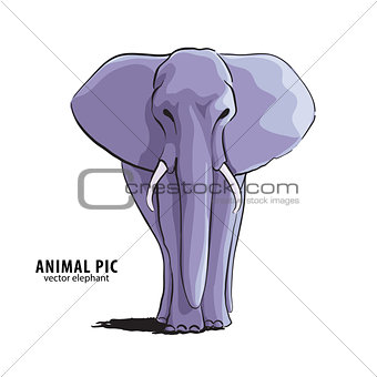 Illustration of elephant