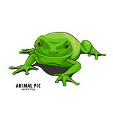 Illutration of frog