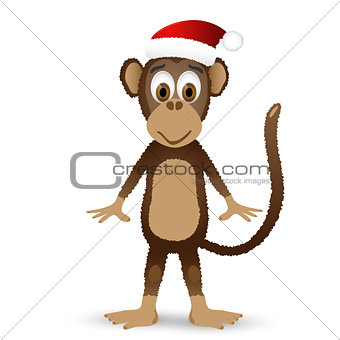 Monkey with santa hat isolated on white background.
