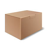 Vector cardboard box