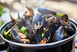 Moules Mariniere Mussels