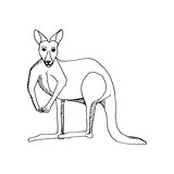 hand draw a kangaroo-style sketch