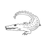 hand draw a crocodile-style sketch