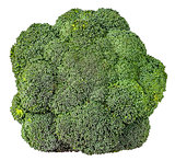 Large inflorescences of fresh broccoli top view