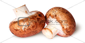 Two fresh brown mushroom beside
