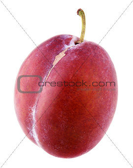 Red plum isolated on white