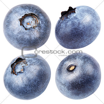 Collection of blueberry berry isolated on white