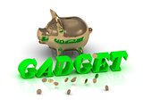 GADGET- inscription of green letters and gold Piggy 