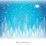 Winter forest on Christmas postcard background.
