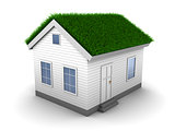 3d house with grass on roof