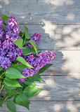 Purple lilac flowers on garden table