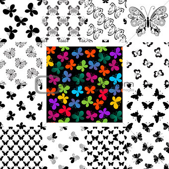 Set seamless patterns with butterflies
