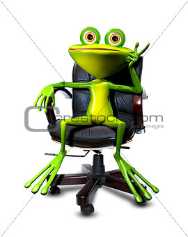 Frog in a chair
