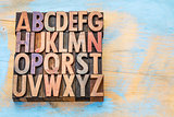 alphabet abstract in wood type