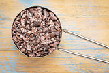 raw cacao nibs in metal scoop