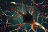 Neurons Concept