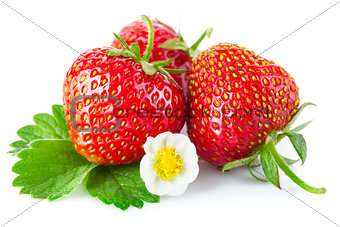 Fresh strawberry with green leaf and flower