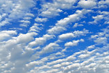 Cumulus clouds fly across the sky