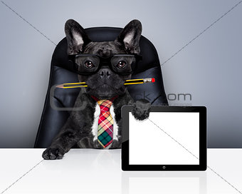 office worker boss dog 