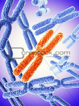 X chromosome on abstract background