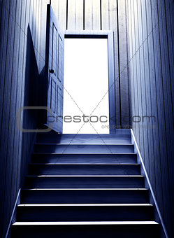 Steps leading from a dark basement to open the door