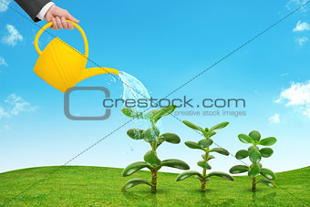 Hand with can watering flowers