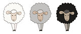 Three Sheep Illustration.