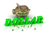 DOLLAR- inscription of green letters and gold Piggy 