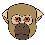 Vector Ornate Monkey Head.