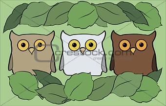 flat illustration with cartoon beautiful and funny owls