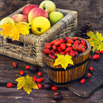 Still life with autumn apples