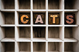 Cats Concept Wooden Letterpress Type in Draw