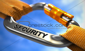 Chrome Carabiner Hook with Text Security.