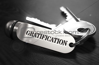 Gratification Concept. Keys with Keyring.