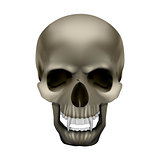 vampire skull with fangs