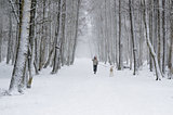 Woman with dog on a snowy winter alley