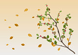 Autumn season. Yellow leaf branch